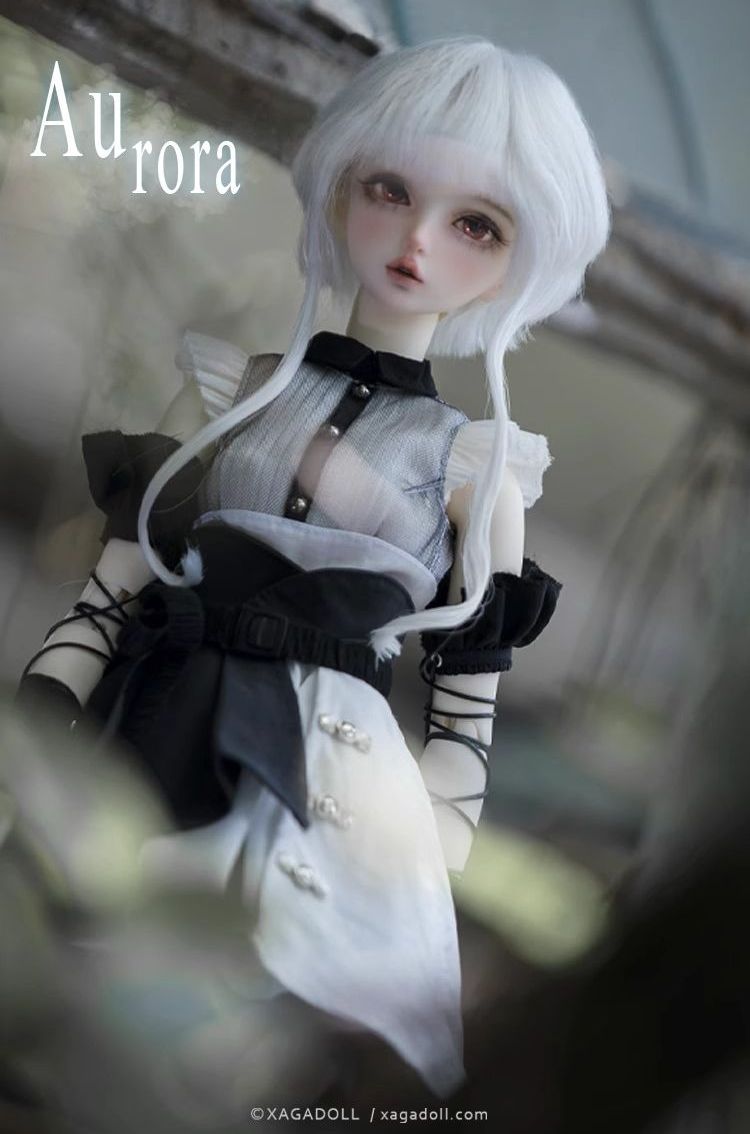 Aurora Fullset [Limited Time] | Preorder | DOLL