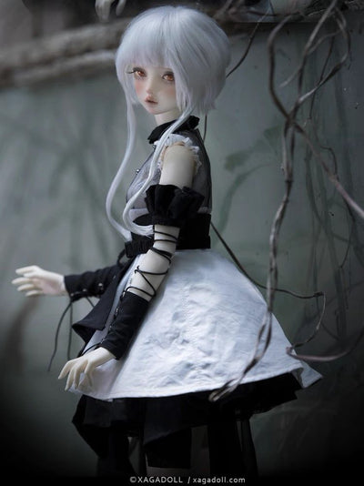 Aurora Fullset [Limited Time] | Preorder | DOLL