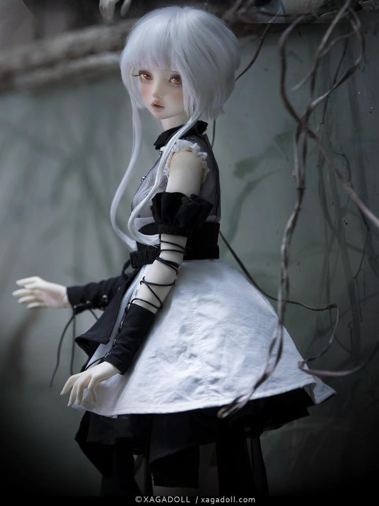 Aurora Fullset [Limited Time] | Preorder | DOLL