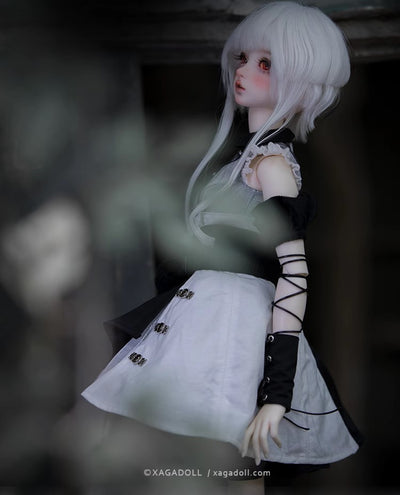 Aurora Fullset [Limited Time] | Preorder | DOLL