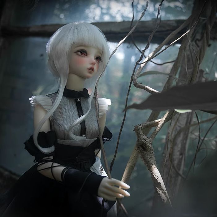 Aurora | Preorder | DOLL