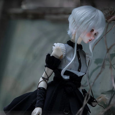 Aurora Fullset [Limited Time] | Preorder | DOLL