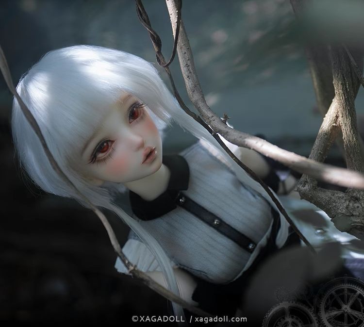 Aurora Fullset [Limited Time] | Preorder | DOLL