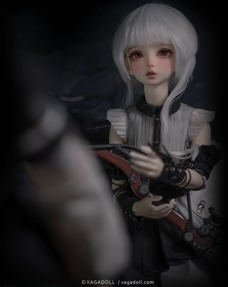 Aurora Fullset [Limited Time] | Preorder | DOLL