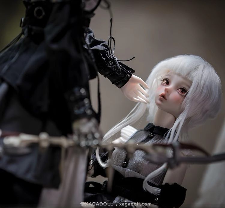 Aurora Fullset [Limited Time] | Preorder | DOLL