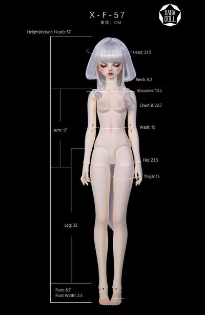 Aurora | Preorder | DOLL