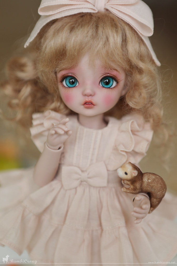 [Petit/CB] Macaron [Limited Time] | Preorder | DOLL