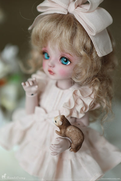 [Petit/CB] Macaron [Limited Time] | Preorder | DOLL