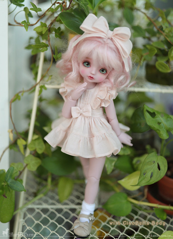 [Petit/CB] Macaron [Limited Time] | Preorder | DOLL