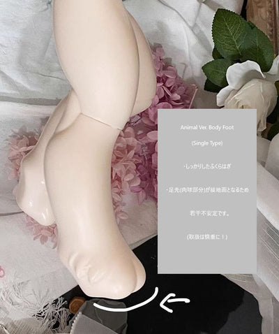 1/4 Body【Limited time】 | Preorder |DOLL