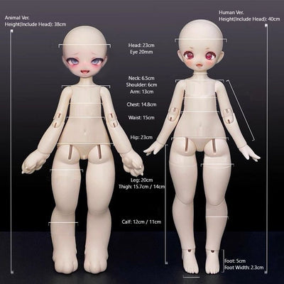 1/4 Body【Limited time】 | Preorder |DOLL