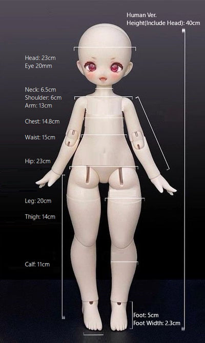 1/4 Human Ver. Doll 【Limited time】 | Preorder |DOLL