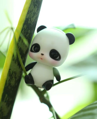 Baobao ver. Berry Fullset (with Panda Ver. Bebe) [limited time] | Preorder | DOLL