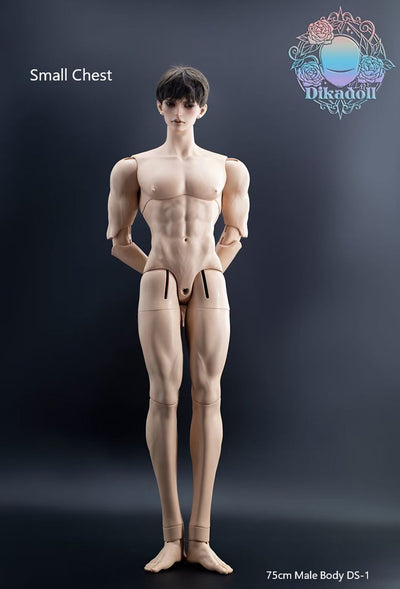 Chusan Tan Skin [Limited Time & Quantity 20%OFF] | Preorder | DOLL