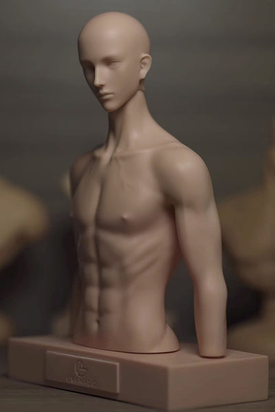 Torso Parts | Preorder | DOLL