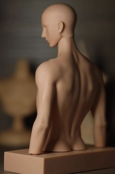 Torso Parts | Preorder | DOLL