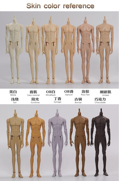 Torso Parts | Preorder | DOLL