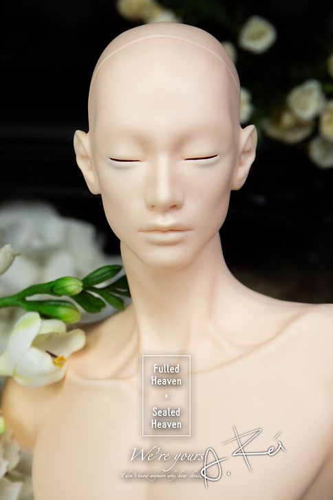 A.Rei Head [Limited time offer] | Preorder | PARTS