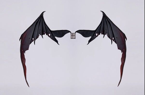 Lucius Wings [Limited Time 10% OFF] | Preorder | PARTS