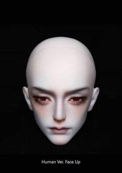 Lucius Head [Limited Time 10% OFF] | Preorder | PARTS