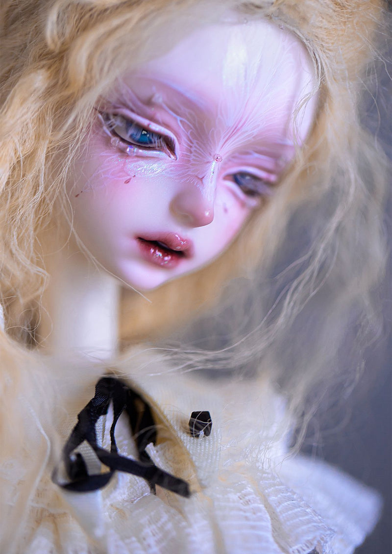 Viola Fullset [Limited Time 10%OFF] | Preorder | DOLL