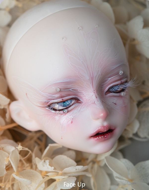 Viola Fullset [Limited Time 10%OFF] | Preorder | DOLL