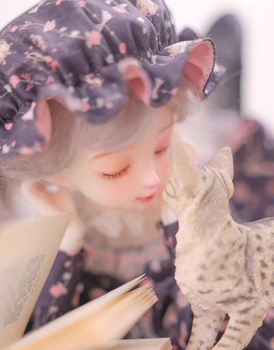 Sleeping Azuki Fullset | Preorder | DOLL