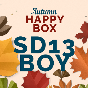 HAPPY BOX [ SD13 BOY ] [Limited time]  | Preorder | OUTFIT