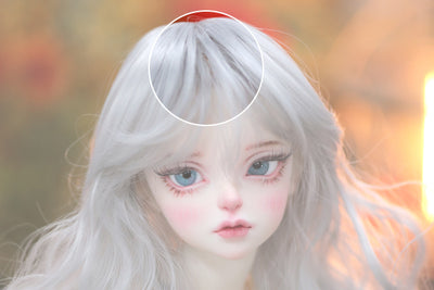 Klematis 8.5MT:Cloudy [Quantity & limited time] | Preorder | WIG