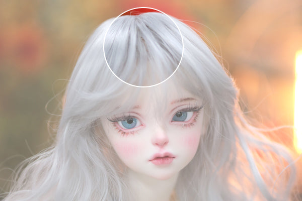 Klematis 8.5MT:Cloudy [Quantity & limited time] | Preorder | WIG