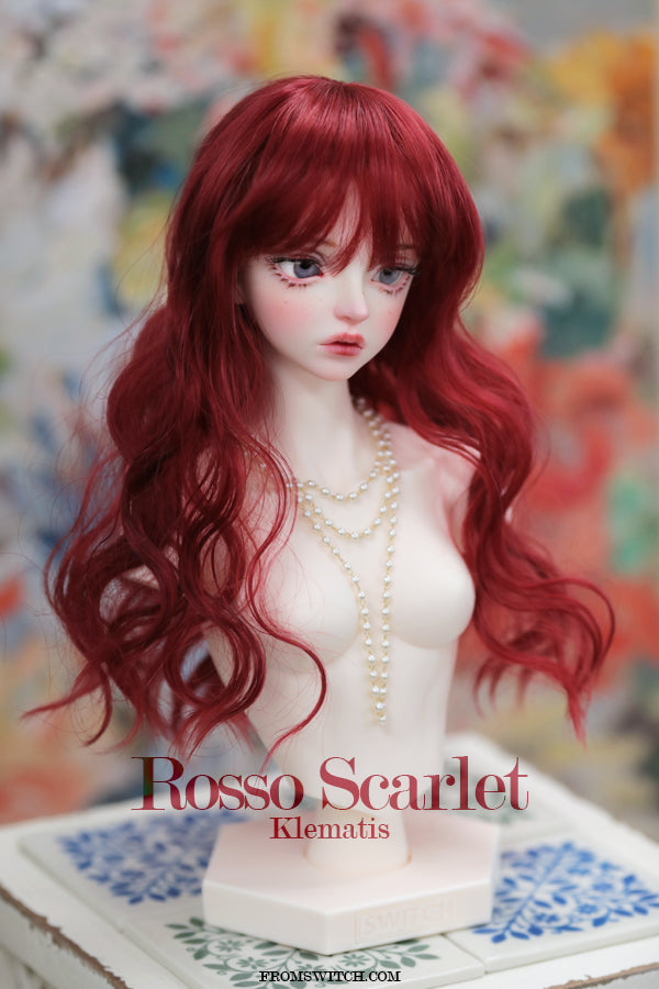 Klematis 8MT:Cloudy [Quantity & limited time] | Preorder | WIG