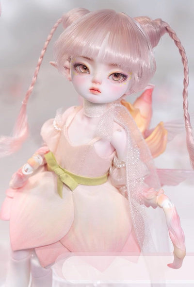 Carie Fullset [Limited quantity] | Preorder | DOLL