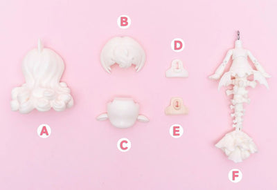 Bone Fish Fullset [Limited Time & Quantity] | Preorder | DOLL