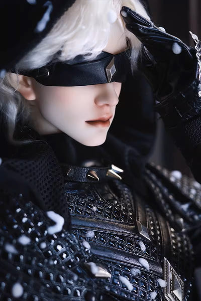 Liu 	[Limited time] | Preorder | DOLL