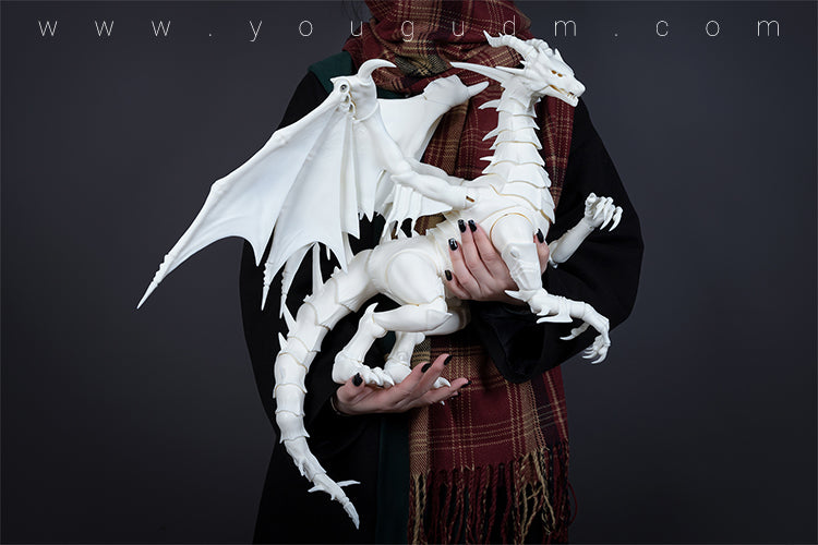 Young Dragon Griffin [12% OFF for a limited time] | Preorder | DOLL