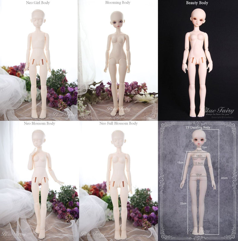 TF Ashley [Limited time] | Preorder | DOLL