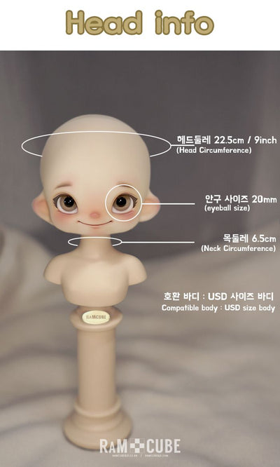 QE: B type Head [Limited time] | Preorder | PARTS