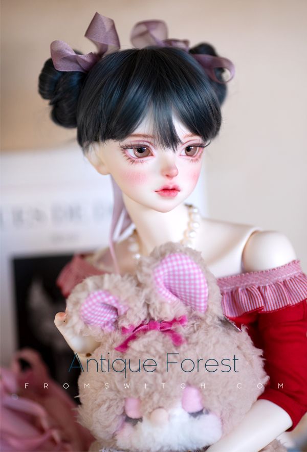 PomPom M: Antique Forest [Limited Time] | Preorder | WIG