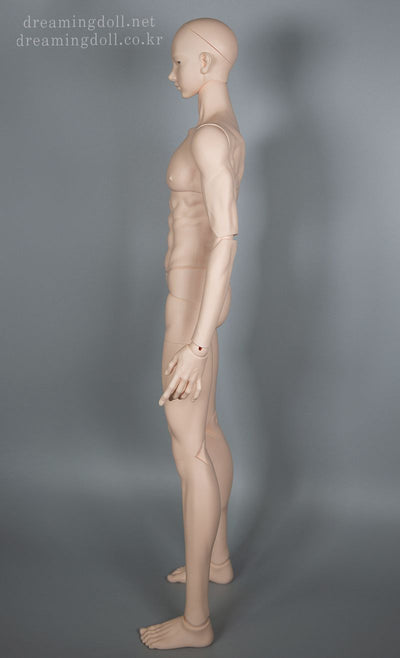 75Boy Body [5% OFF for a limited time] | Preorder | PARTS