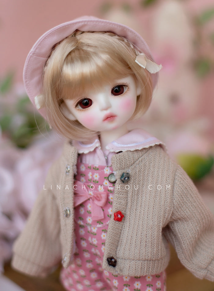 Cookie (Renewal)| Preorder | DOLL