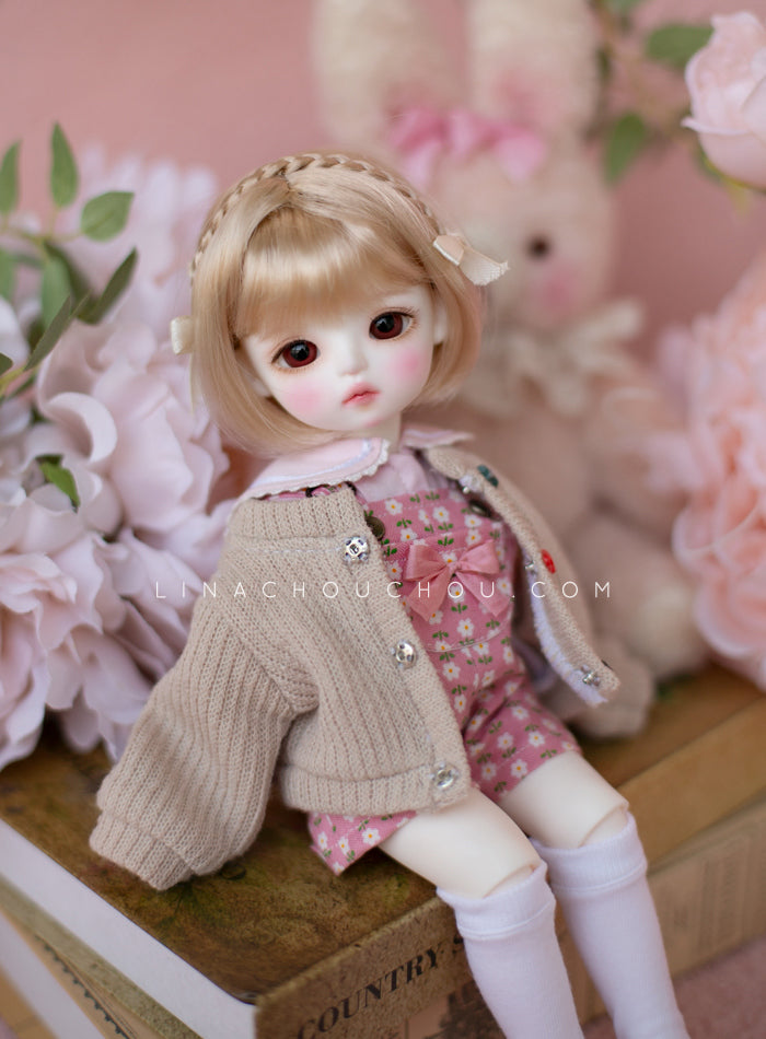 Cookie (Renewal)| Preorder | DOLL