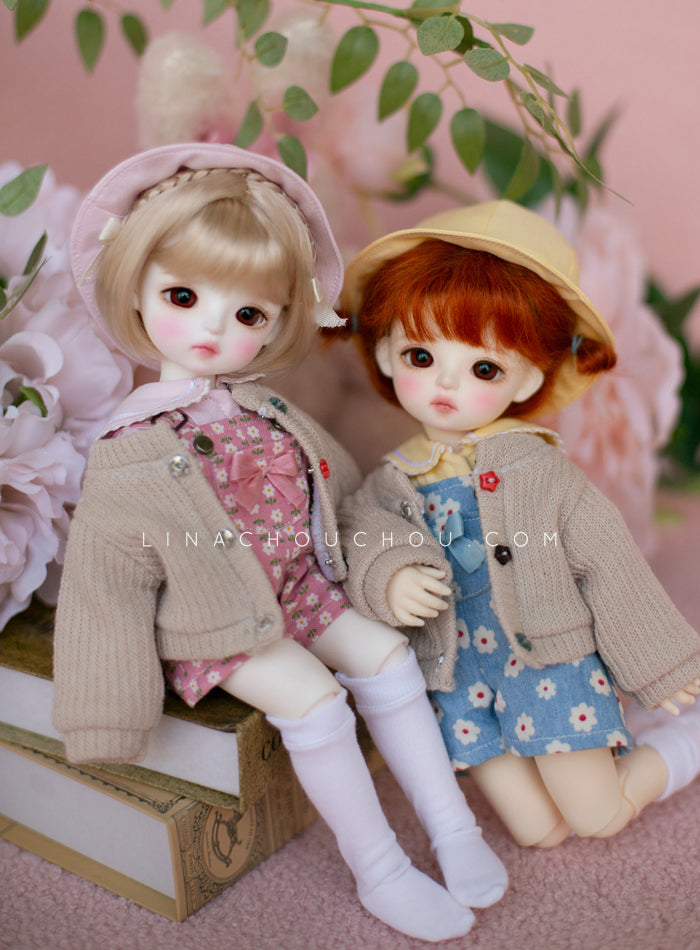 Cookie (Renewal)| Preorder | DOLL