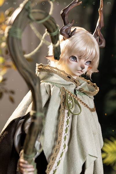 Cedar Fullset [15% OFF for a limited time] | Preorder | DOLL