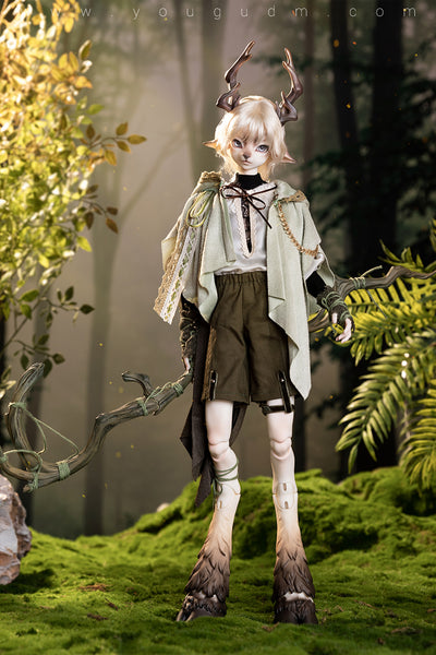 Cedar [15% OFF for a limited time] | Preorder | DOLL