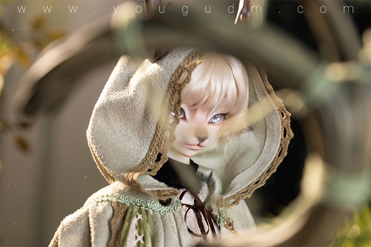 Cedar [15% OFF for a limited time] | Preorder | DOLL