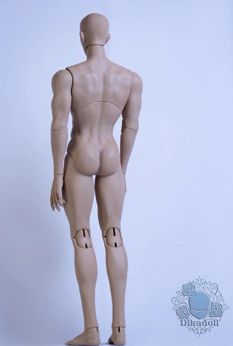 1/4 51cm Boy Body (succulent body) | Preorder | PARTS