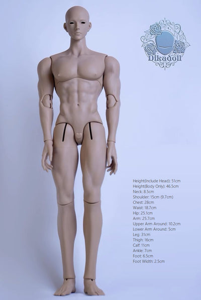 1/4 51cm Boy Body (succulent body) | Preorder | PARTS