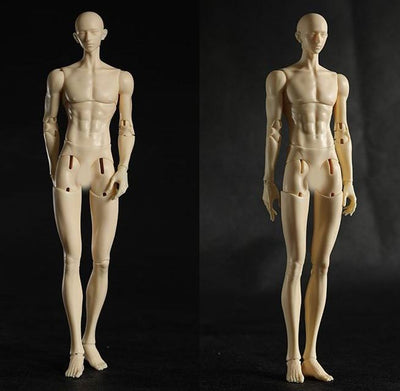 Male Body 33Regal | Preorder | PARTS