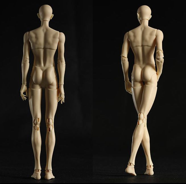 Male Body 33Regal | Preorder | PARTS