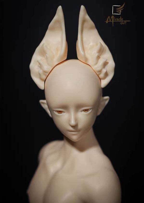 Zenyi Head [Limited time] | Preorder | PARTS